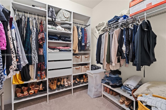 spacious closet featuring carpet floors