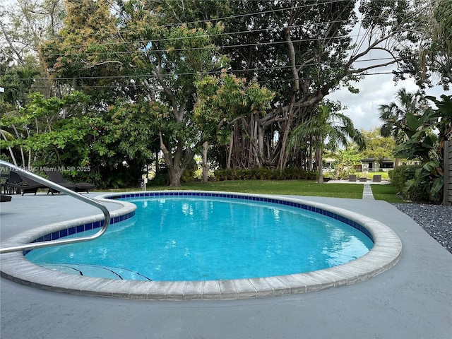 view of swimming pool