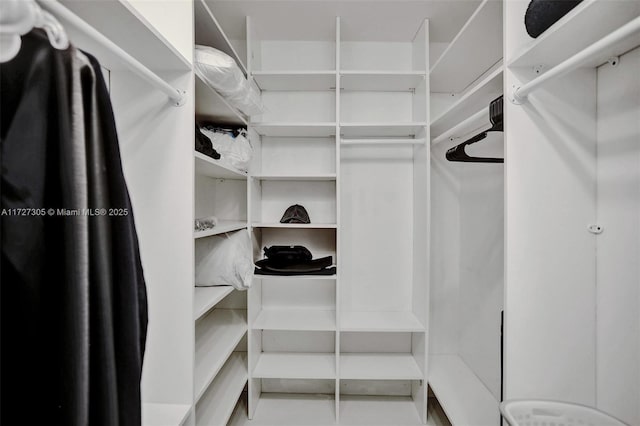 view of walk in closet