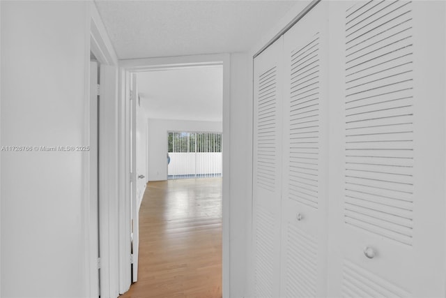 hall with a textured ceiling and light hardwood / wood-style flooring