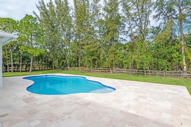 view of pool with a yard and a patio