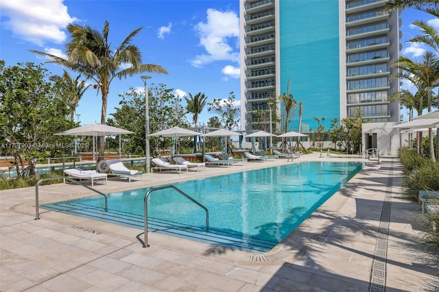 view of pool with a patio