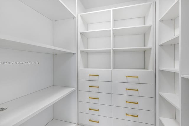 view of spacious closet