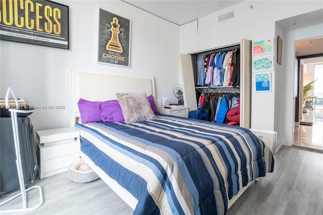 bedroom featuring a closet and wood-type flooring