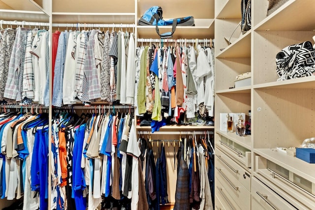 view of walk in closet