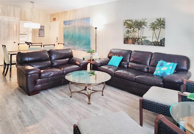 living room with light hardwood / wood-style flooring