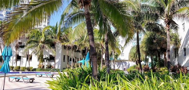 surrounding community featuring a patio area and a pool