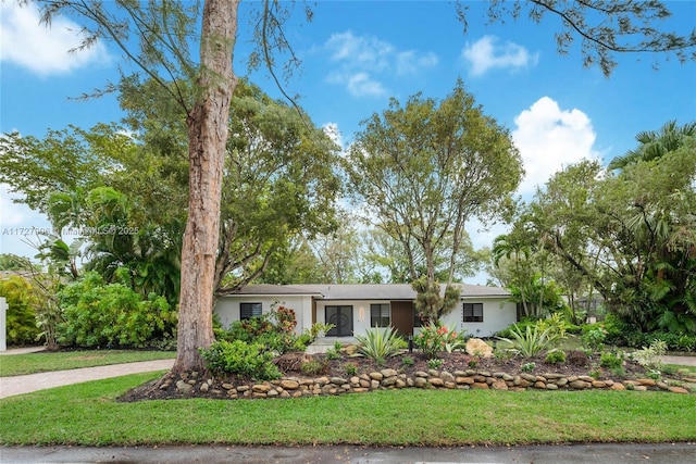 ranch-style home with a front yard