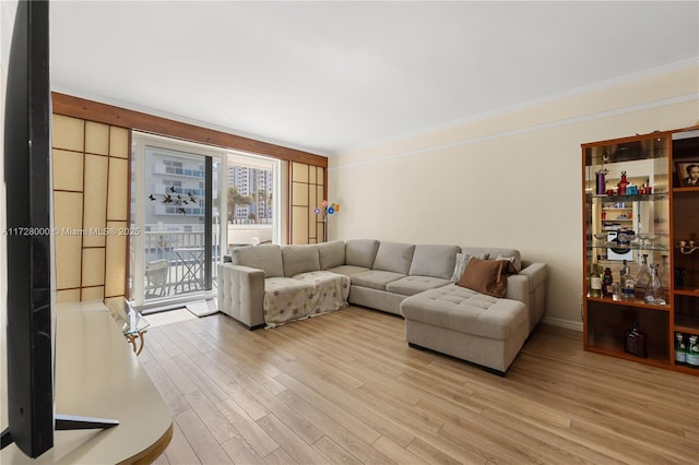 living room featuring ornamental molding and light hardwood / wood-style flooring