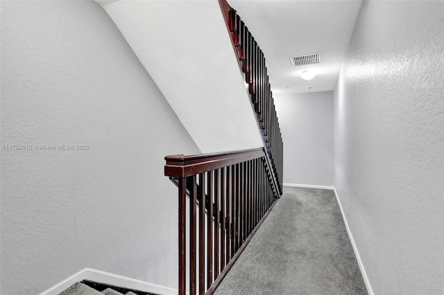 staircase featuring carpet floors