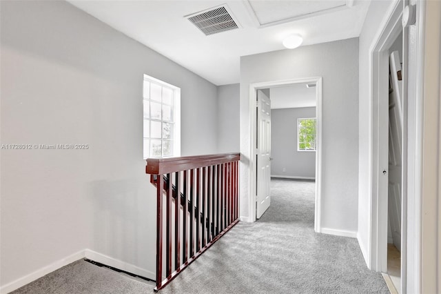 corridor with light carpet