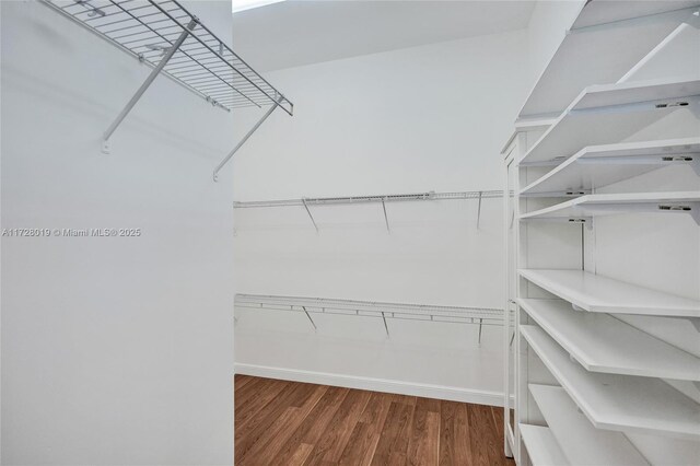 walk in closet featuring dark hardwood / wood-style flooring