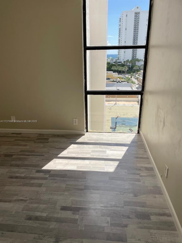 unfurnished room featuring dark wood-type flooring and a wealth of natural light