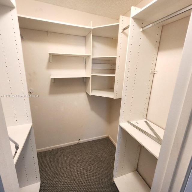 spacious closet with carpet flooring