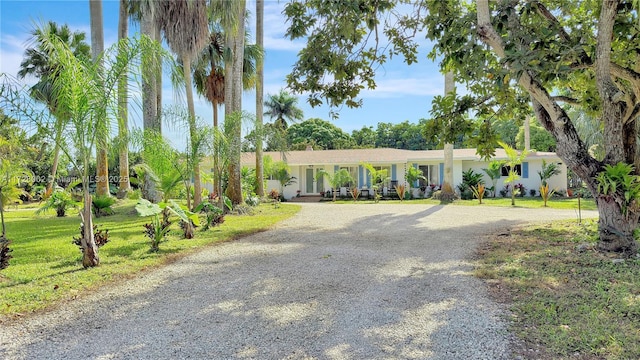 single story home featuring a front lawn