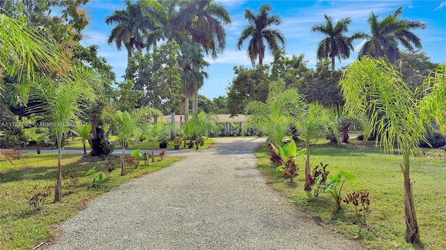 view of community with a yard