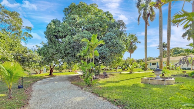 view of community with a yard