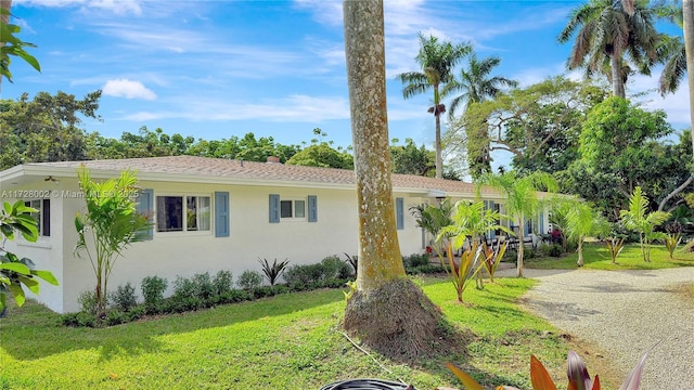 ranch-style home with a front lawn