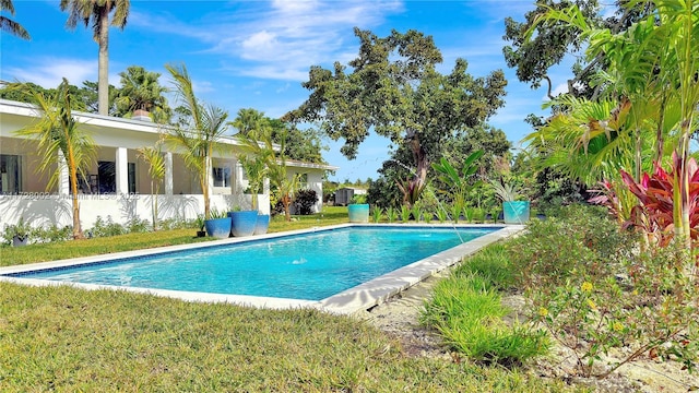 view of swimming pool featuring a yard