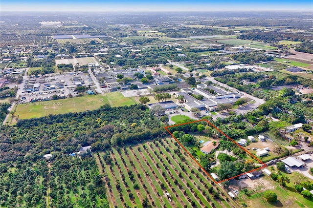 bird's eye view