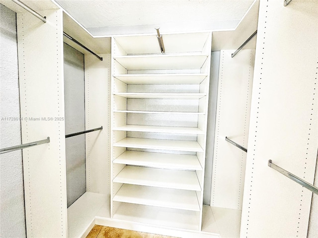 view of spacious closet