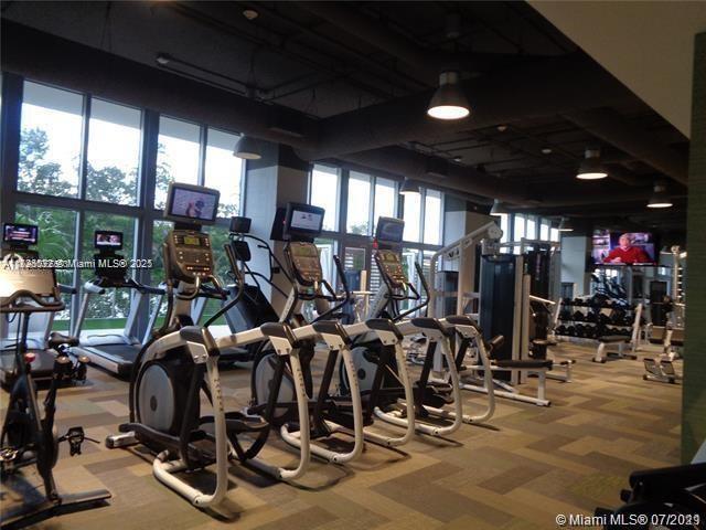 exercise room featuring carpet