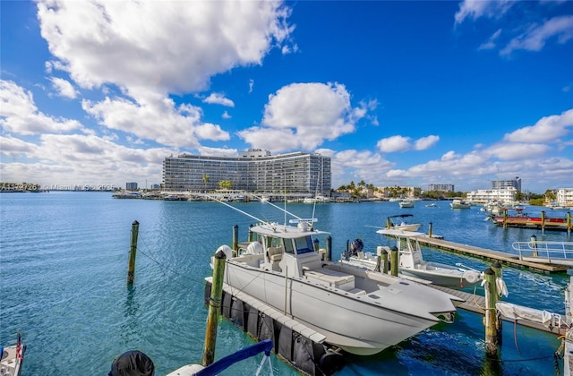 dock area with a water view