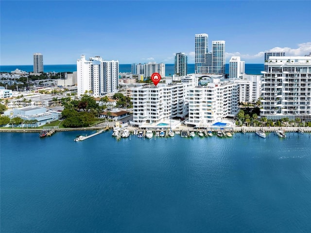 aerial view with a water view