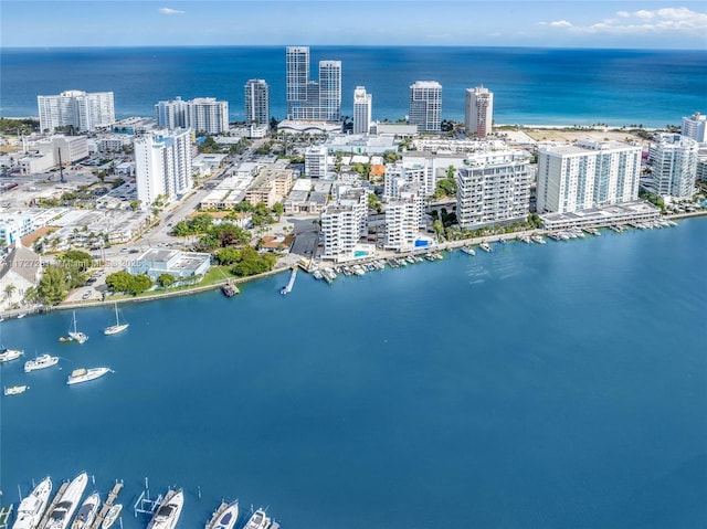 bird's eye view with a water view