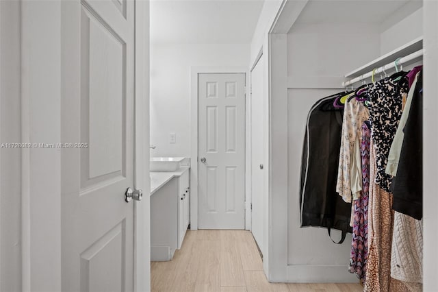 1400 NE 191st St Unit 307, Miami, FL 33179 - walk in closet with light wood finished floors and a sink