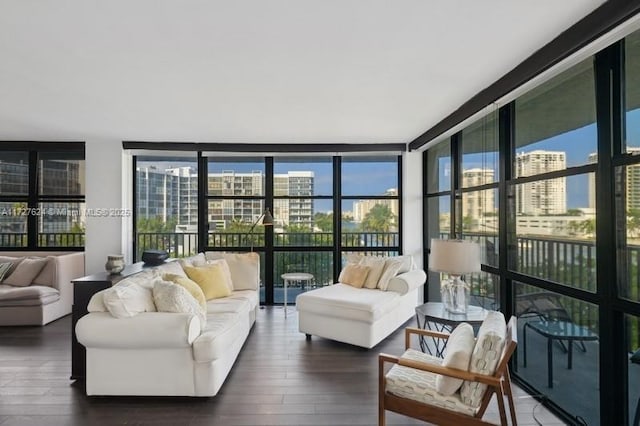 living room featuring a wall of windows, dark hardwood / wood-style flooring, and plenty of natural light