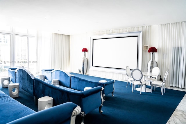 view of home theater