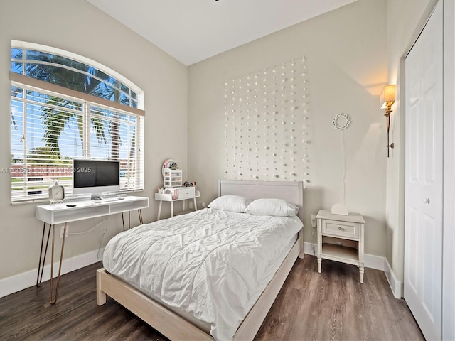 bedroom with a closet and hardwood / wood-style flooring