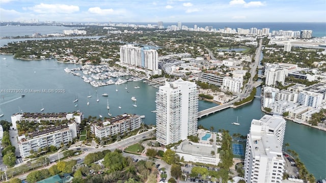 aerial view with a water view