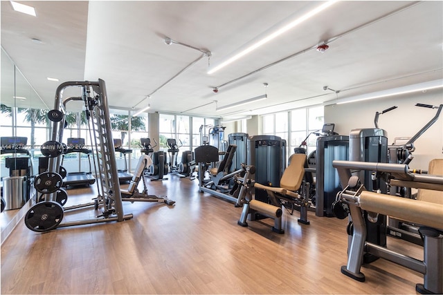 10 Venetian Way Unit 1903, Miami Beach, FL 33139 - gym featuring floor to ceiling windows and wood finished floors