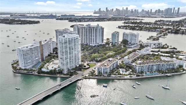 aerial view with a water view