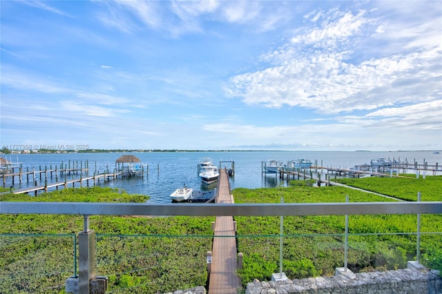 dock area with a water view