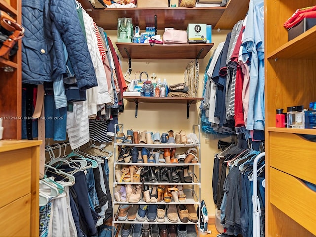 view of spacious closet