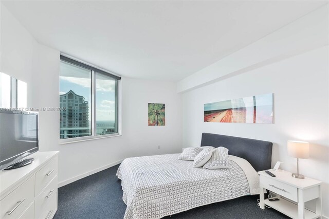 bedroom featuring dark colored carpet