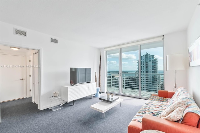 carpeted living room featuring expansive windows