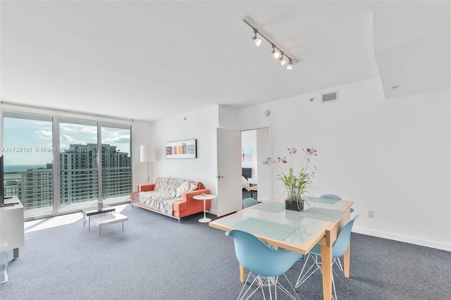 carpeted dining room featuring rail lighting and expansive windows