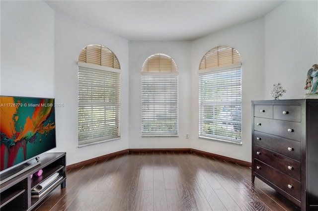 interior space with dark hardwood / wood-style flooring