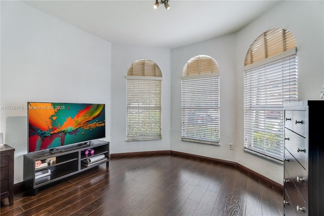 interior space featuring dark wood-type flooring