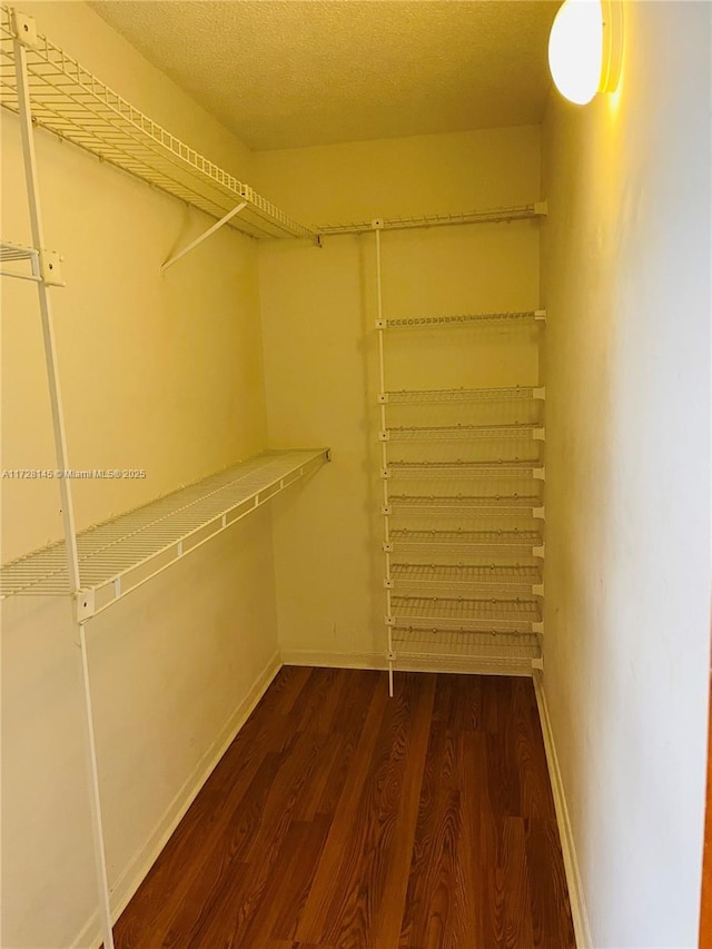 walk in closet with dark wood-type flooring