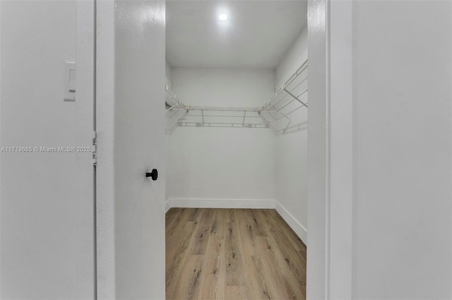 spacious closet with light hardwood / wood-style floors