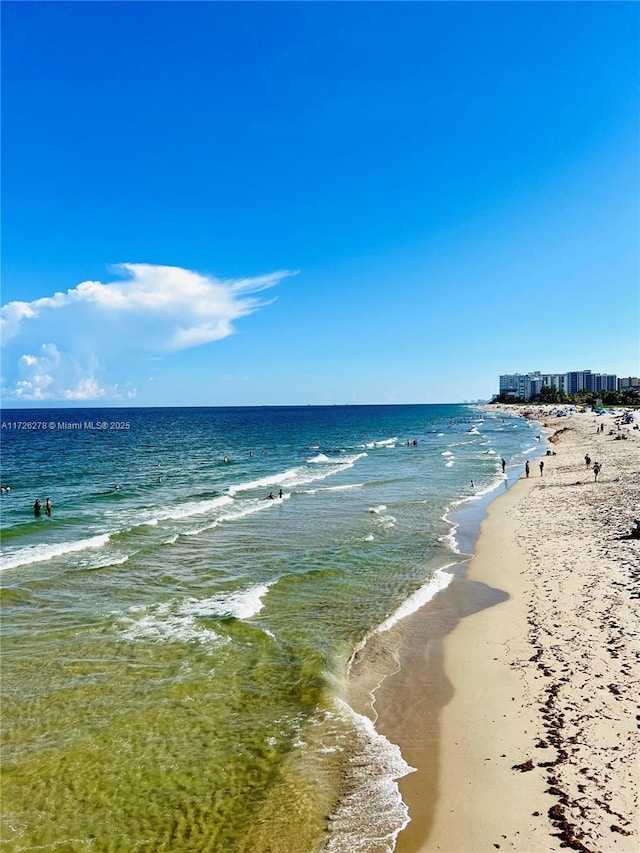 water view featuring a beach view