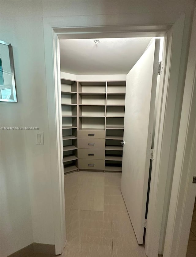 view of walk in closet