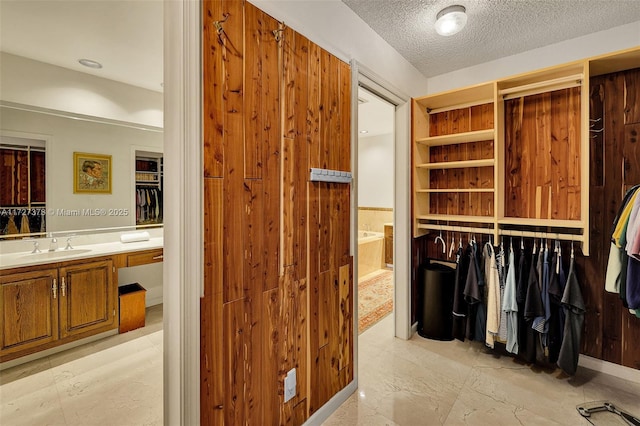 walk in closet featuring sink