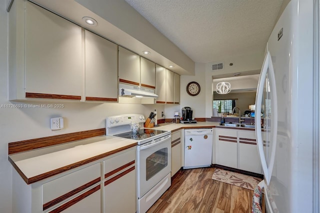 kitchen featuring sink, white appliances, light hardwood / wood-style flooring, white cabinetry, and a textured ceiling