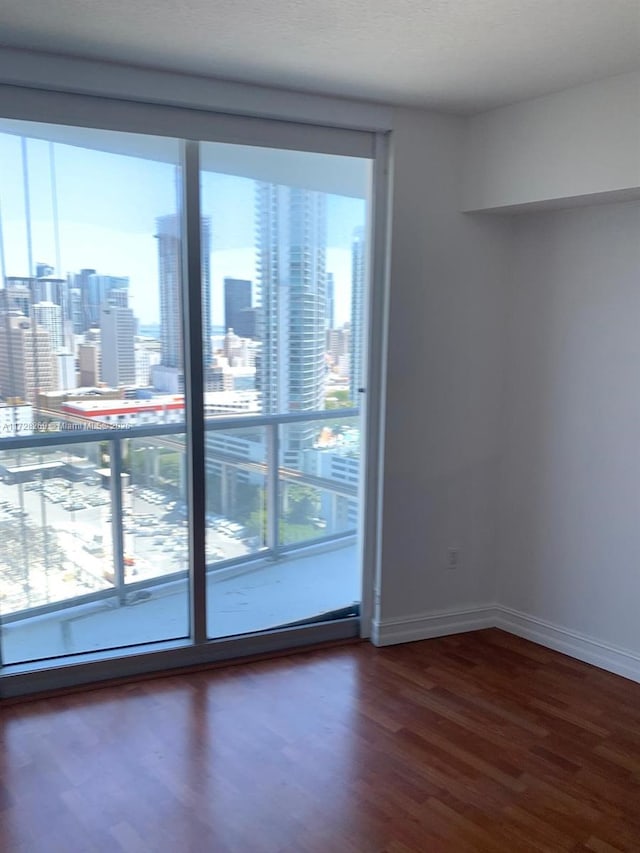 unfurnished room with dark wood-type flooring